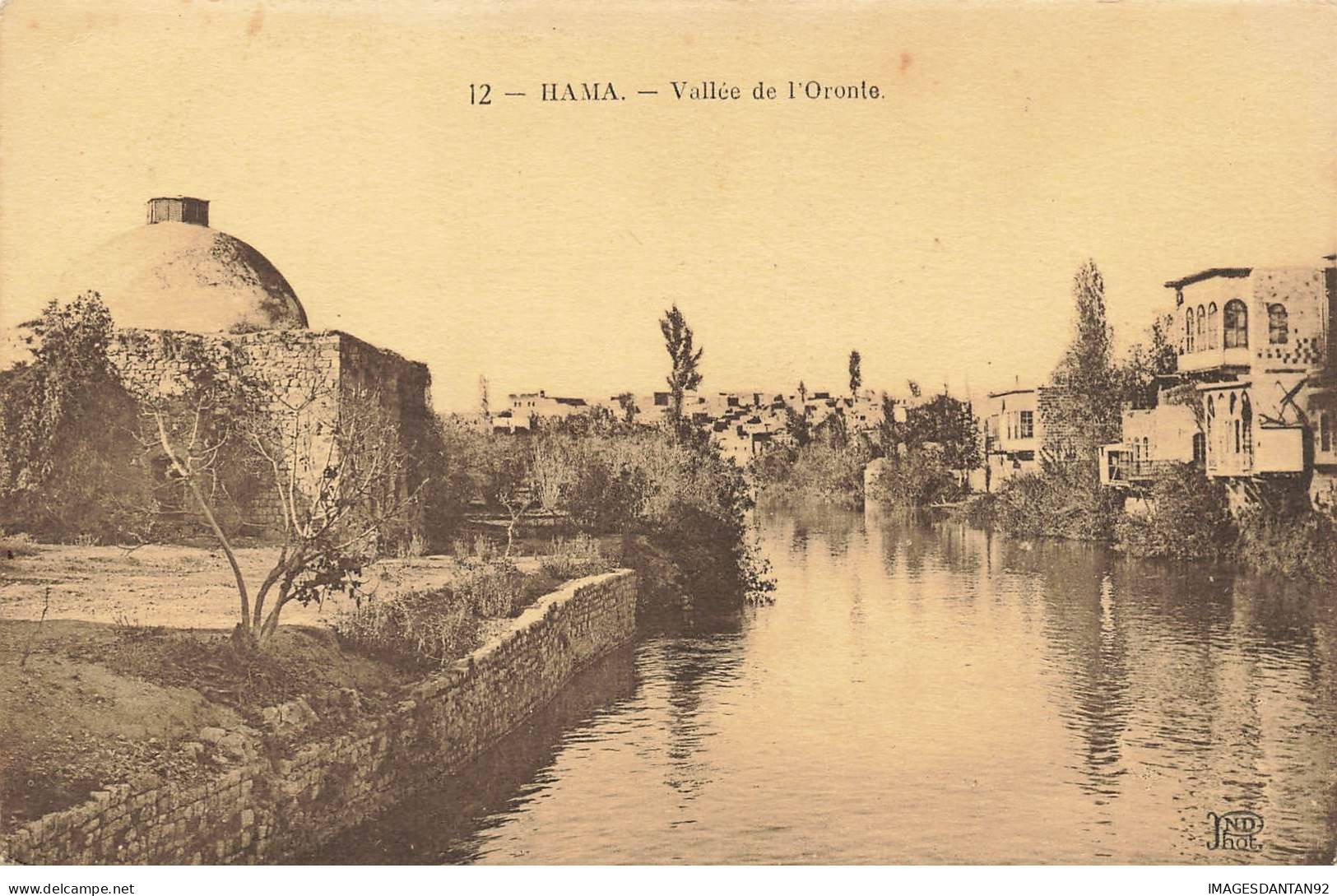 SYRIE SYRIA #32523 HAMA VALLEE DE L ORONTE - Syria