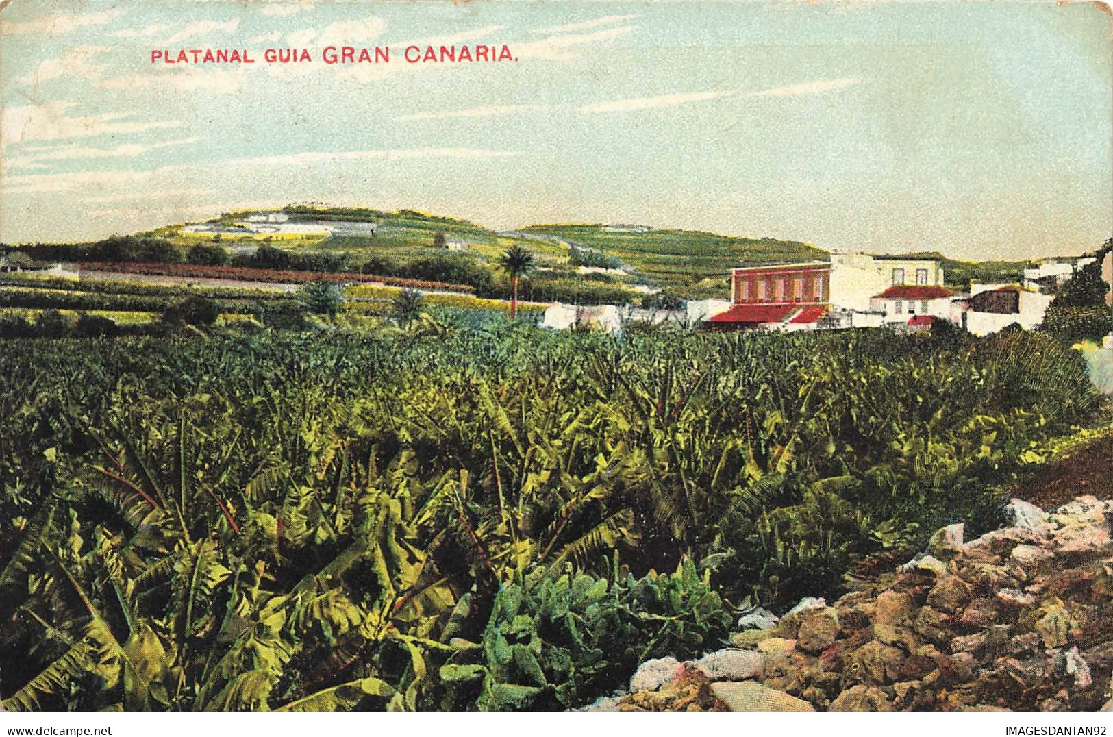 ESPAGNE SPAIN #32833 GRAN CANARIA PLATANAL GUIA - Gran Canaria