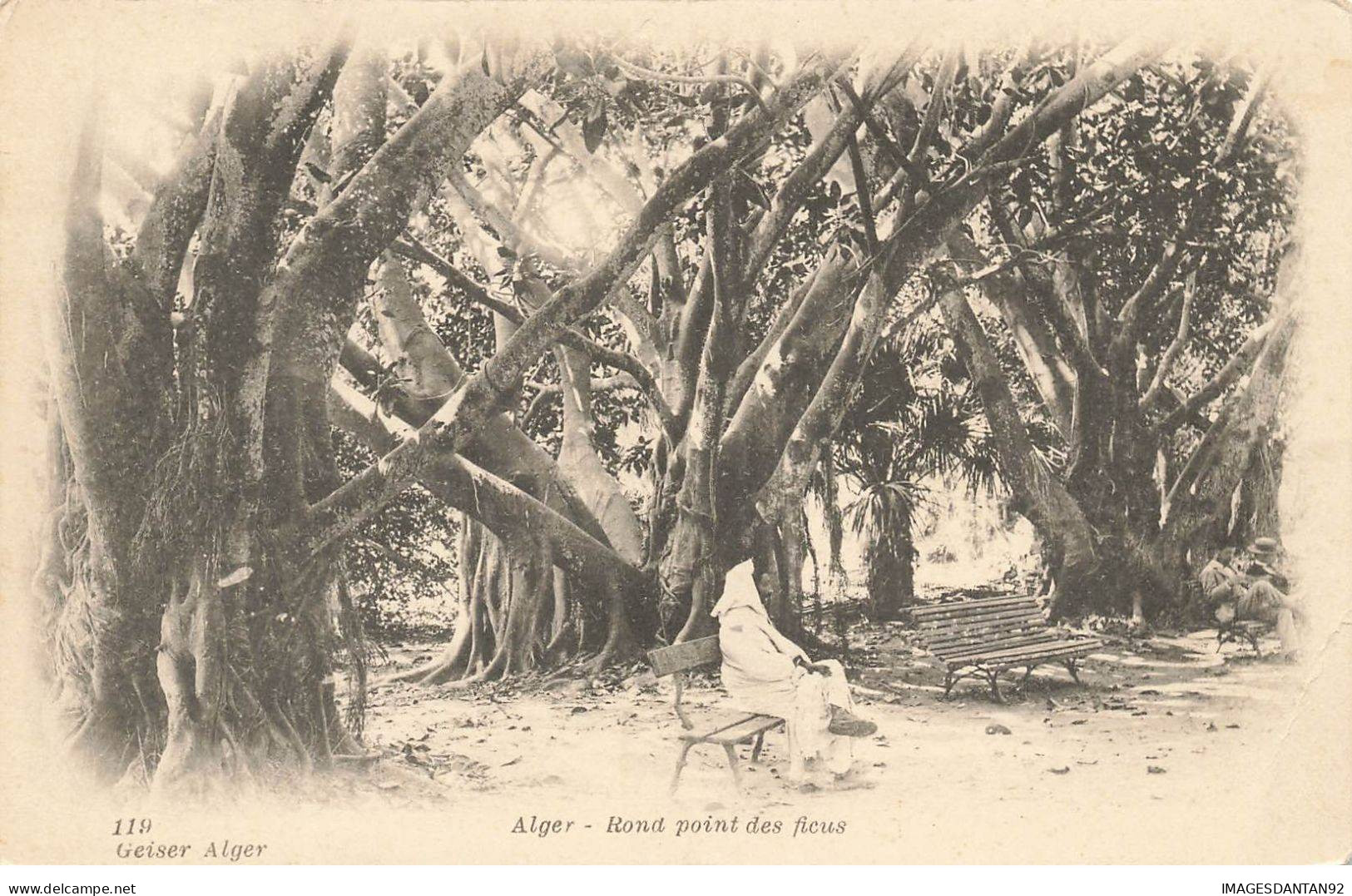 ALGERIE #32513 ALGER ROND POINT DES FICUS GEISER - Algerien