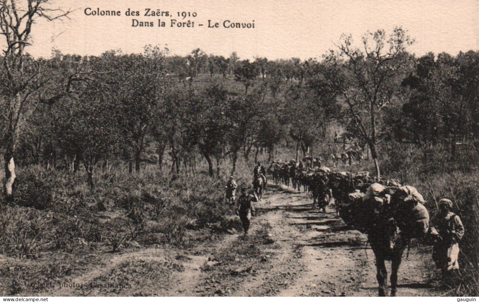 CPA - Colonne Des ZAËRS 1910 - Dans La Forêt Le Convoi - Edition P.Grébert - Otros & Sin Clasificación