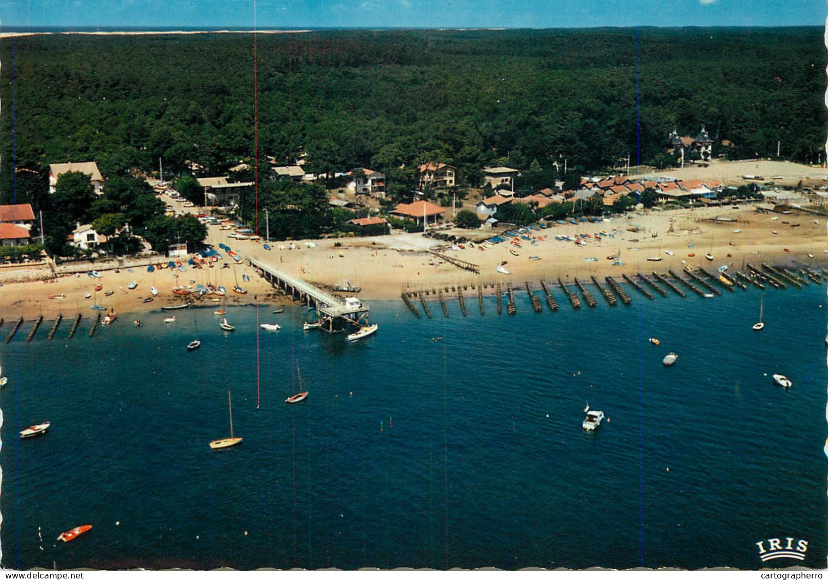 Navigation Sailing Vessels & Boats Themed Postcard Bassin D' Arcachon Grand Piquey - Voiliers
