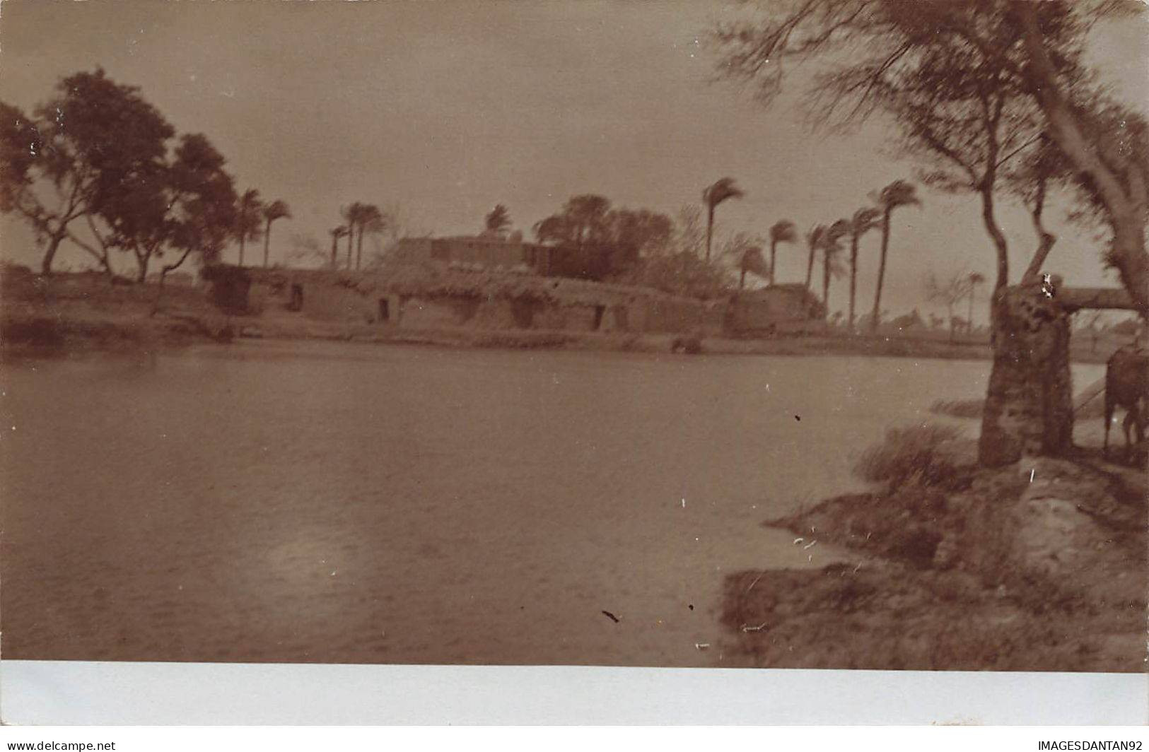 EGYPTE EGYPTE #32411 PAYSAGE CARTE PHOTO - Altri & Non Classificati