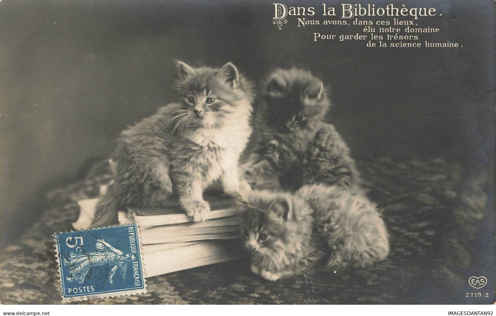 CHAT #32389 DANS LA BIBLIOTHEQUE TROIS CHATONS SUR UN LIVRE - Gatti