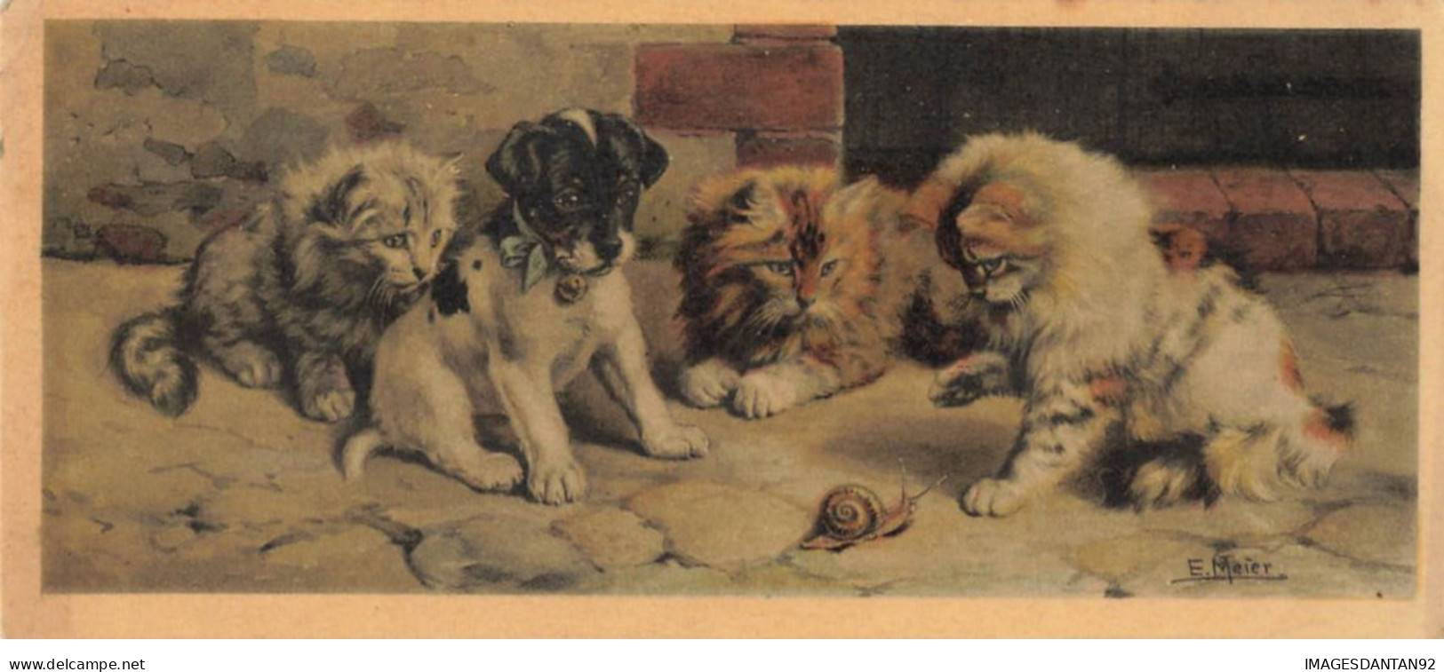 CHAT #32386 GROUPE DE CHATONS ET CHIOT JACK RUSSELL JOUANT AVEC UN ESCARGOT ILLUSTRATEUR MEIER - Gatos