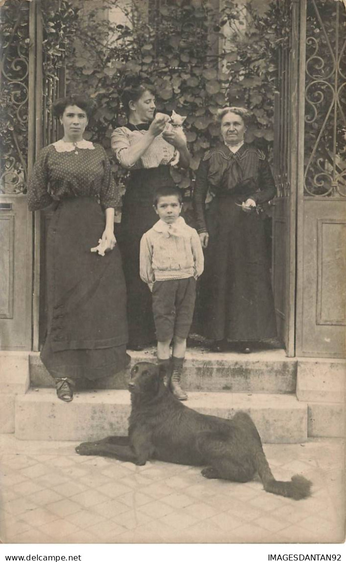 95 ARGENTEUIL #AS29753 FAMILLE CHAT ET CHIEN CARTE PHOTO - Argenteuil