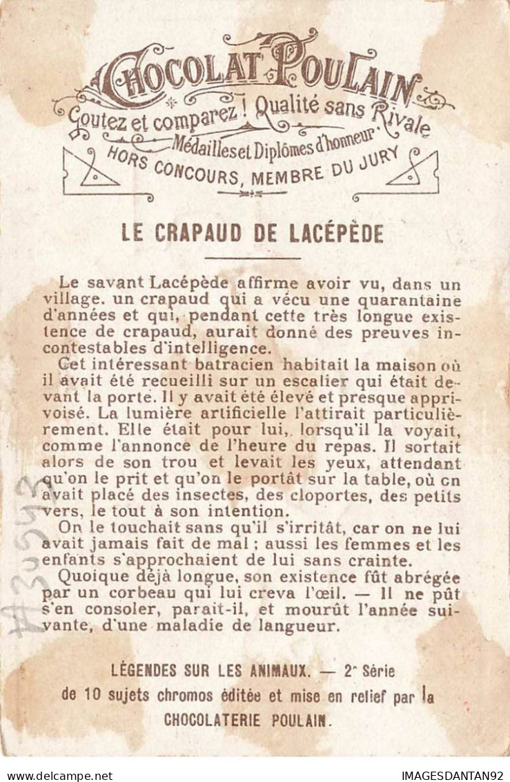 CHROMO #CL30943 CHOCOLAT POULAIN LE CRAPAUD DE LACEPEDE - Poulain