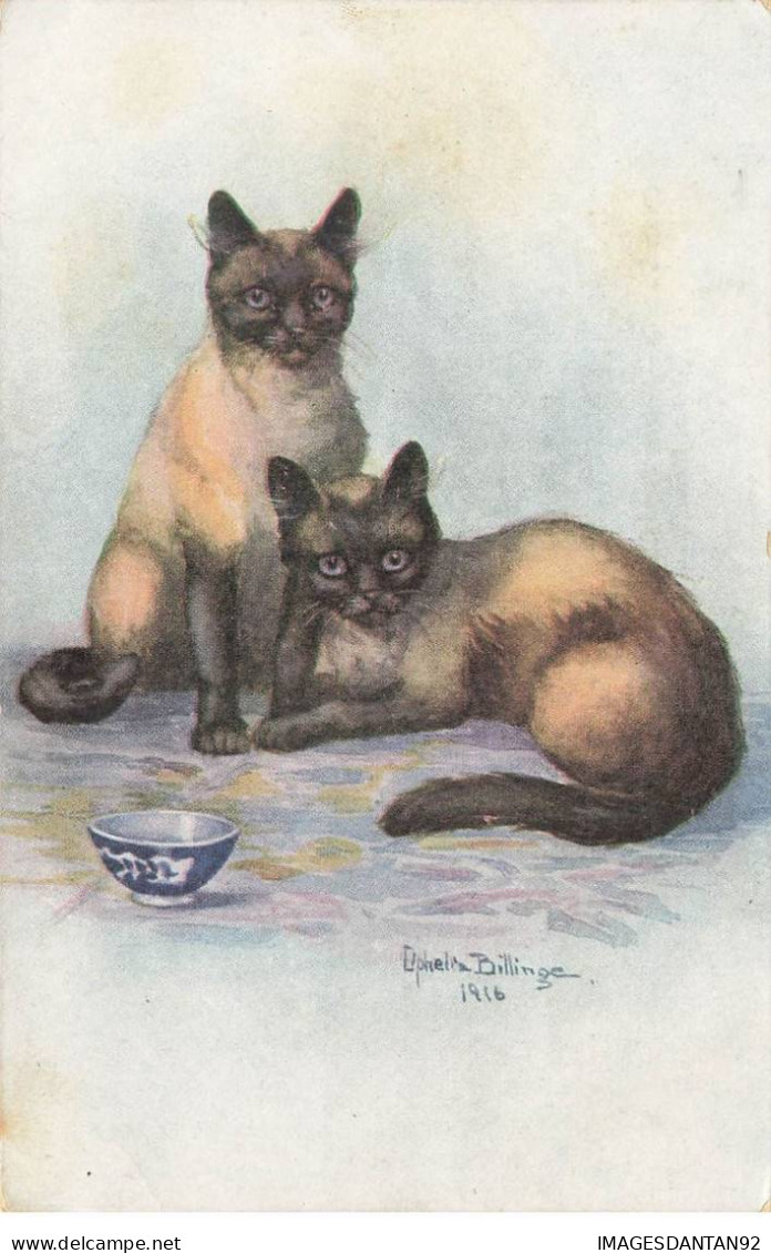 CHATS #MK39949 DEUX CHATS SIAMOIS PAR ILLUSTRATEUR OPHELIA BILLINGE - Katzen