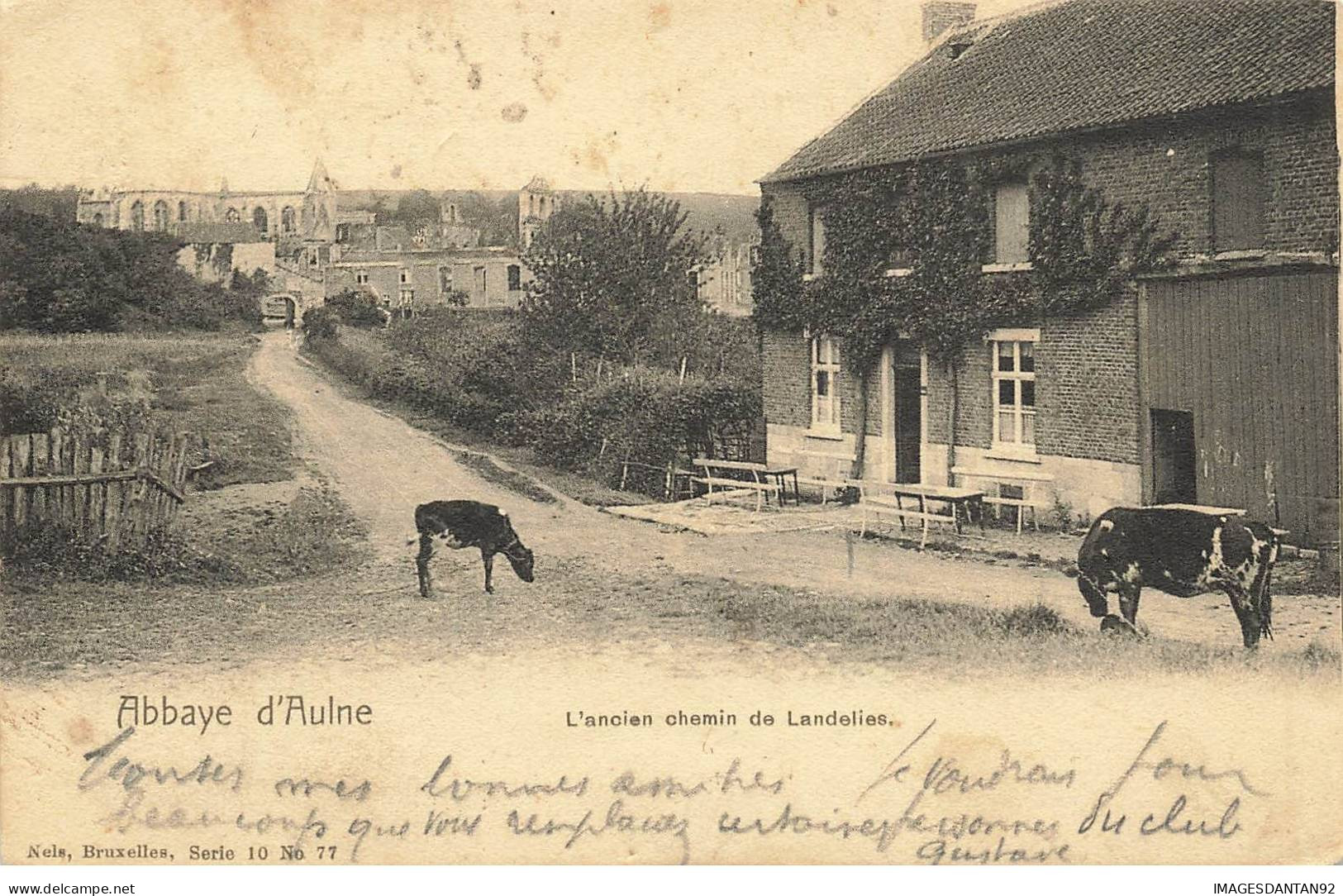 BELGIQUE #MK35735 ABBAYE D AULNE L ANCIEN CHEMIN DE LANDELIES VACHES - Sonstige & Ohne Zuordnung