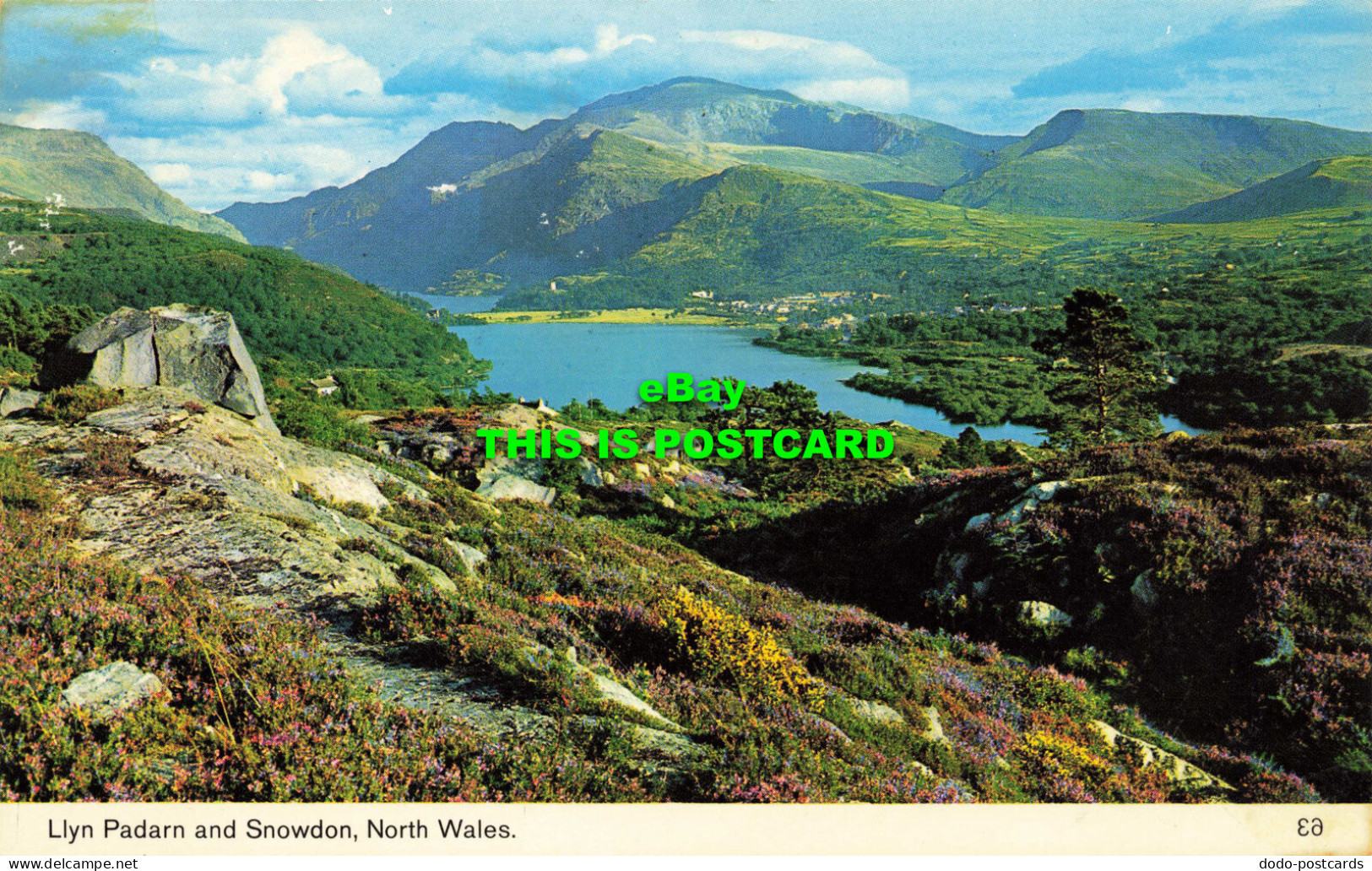 R572946 Llyn Padarn And Snowdon. North Wales. Color Gloss View Series. Bamforth - World