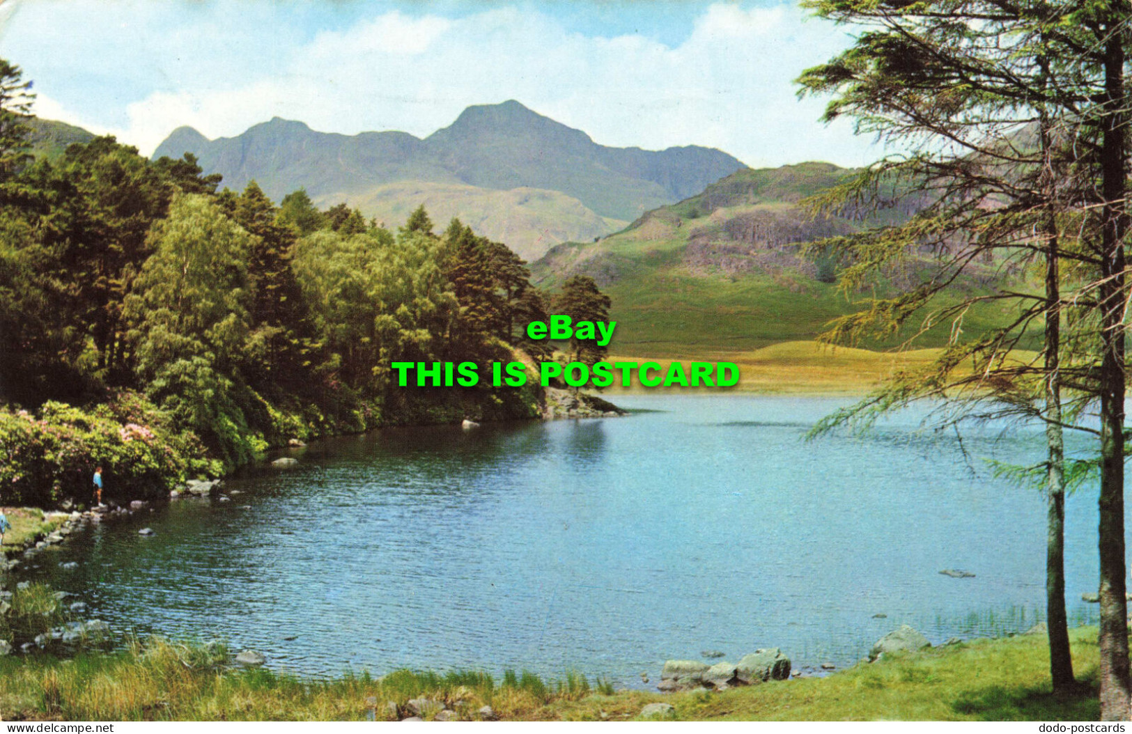 R572418 Blea Tarn And Langdale Pikes. H. Webster. Helvellyn House. 1970 - World