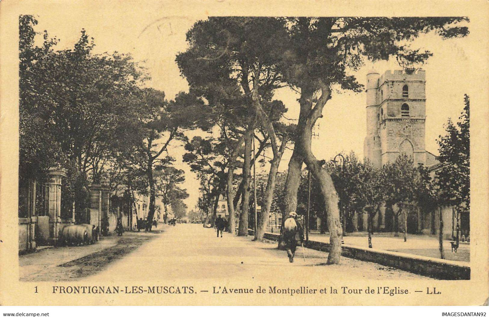 34 FRONTIGNAN LES MUSCATS #MK34818 L AVENUE DE MONTPELLIER ET LA TOUR DE L EGLISE - Frontignan