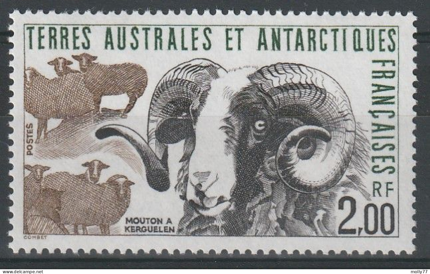 TAAF N° 141 - Unused Stamps