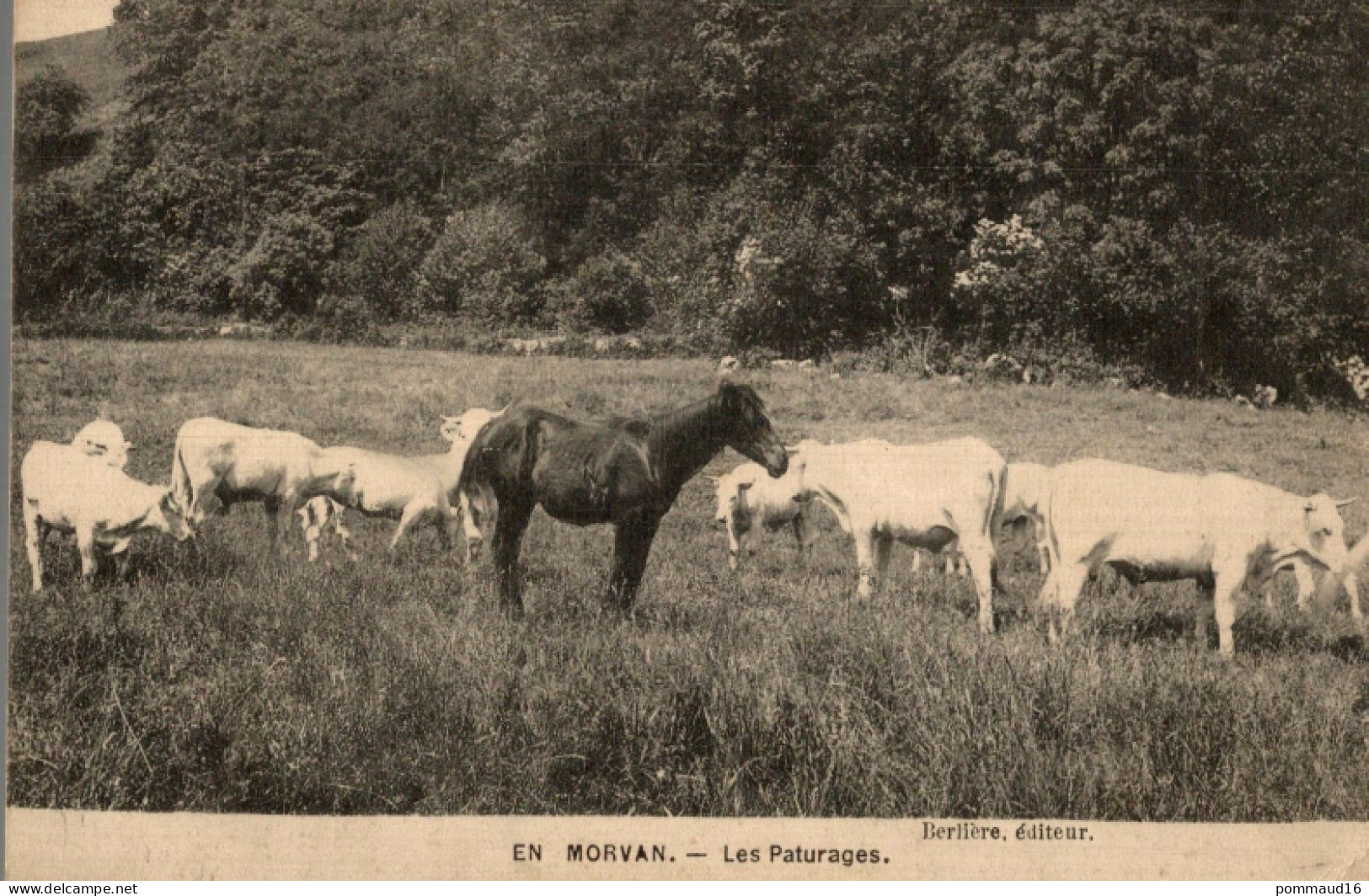 CPA En Morvan Les Pâturages - Autres & Non Classés