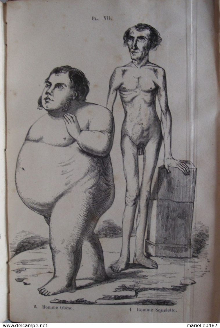 A. DEBAY - Histoire Naturelle De L'Homme Et De La Femme (...) Race Humaine Primitive, 1875 Signé Par L'auteur - 1801-1900