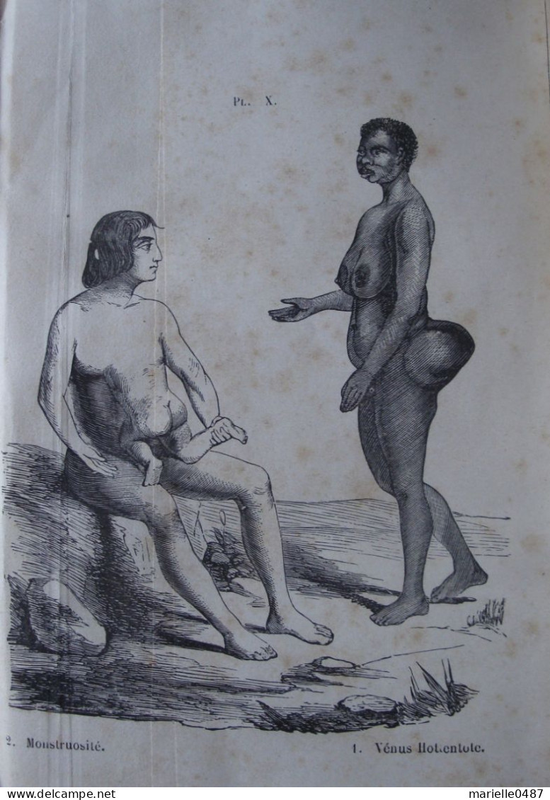 A. DEBAY - Histoire naturelle de l'Homme et de la Femme (...) Race humaine primitive, 1875 Signé par l'auteur