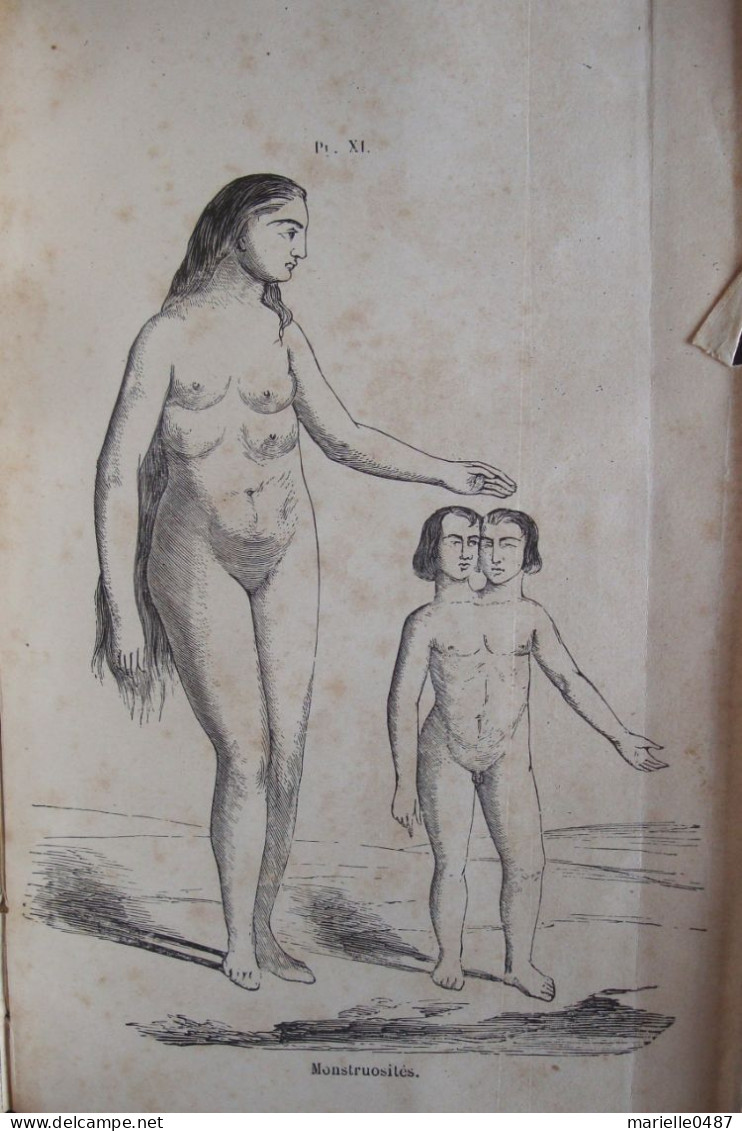 A. DEBAY - Histoire naturelle de l'Homme et de la Femme (...) Race humaine primitive, 1875 Signé par l'auteur