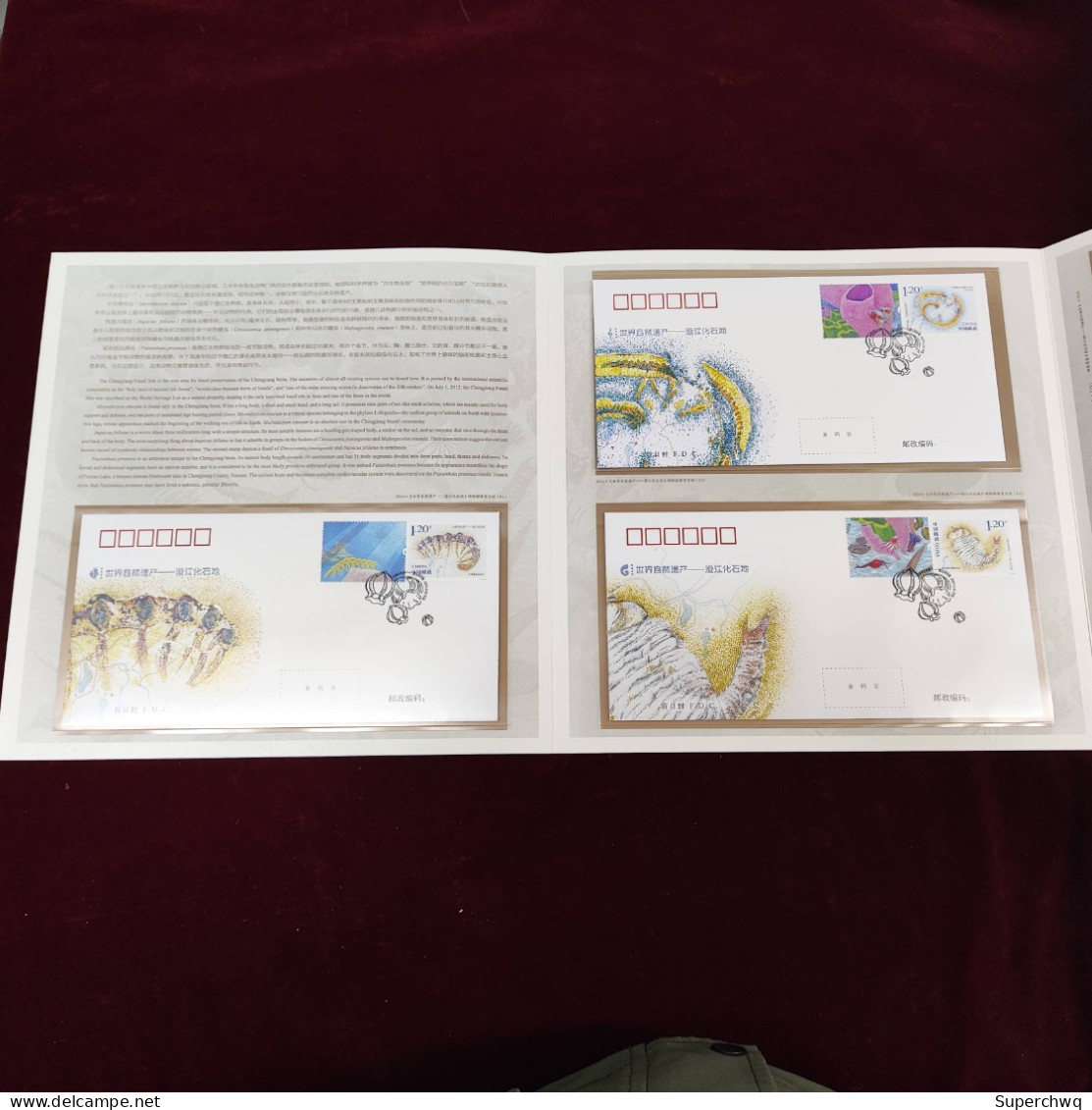 China Stamp 2024-4 The "World Natural Heritage - Chengjiang Fossil Land" Edition Coupon Includes Tickets: A Set Of Three - Nuevos