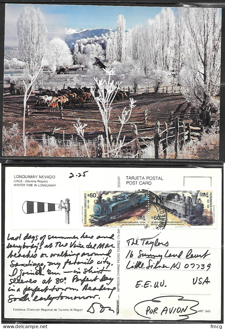 1988 Winter Time In Lonquimay, Mailed To USA - Chili