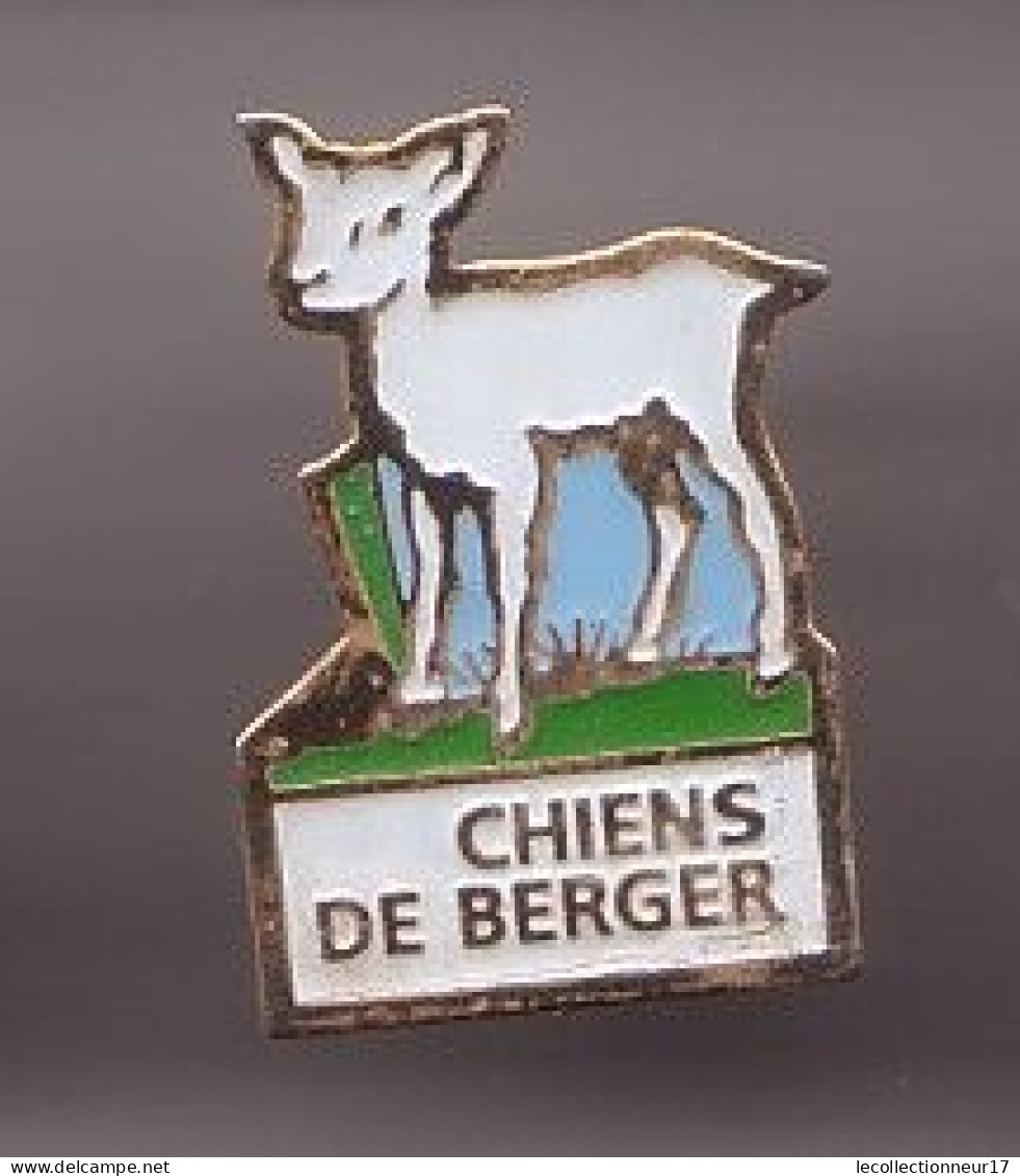 Pin's Chiens De Berger  Brebis Réf 1342 - Animaux