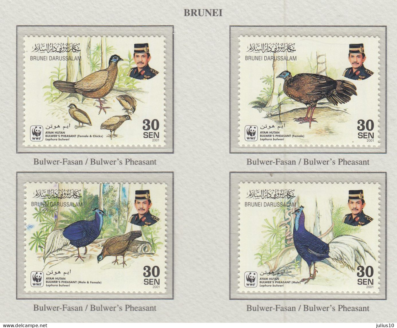 BRUNEI 2001 WWF Birds Mi 622-625 MNH(**) Fauna 647 - Other & Unclassified