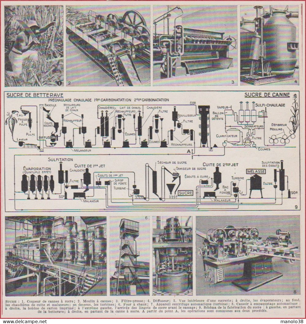 Sucre. Canne à Sucre, Betterave. Transformation. Matériels. Larousse 1948. - Historische Dokumente