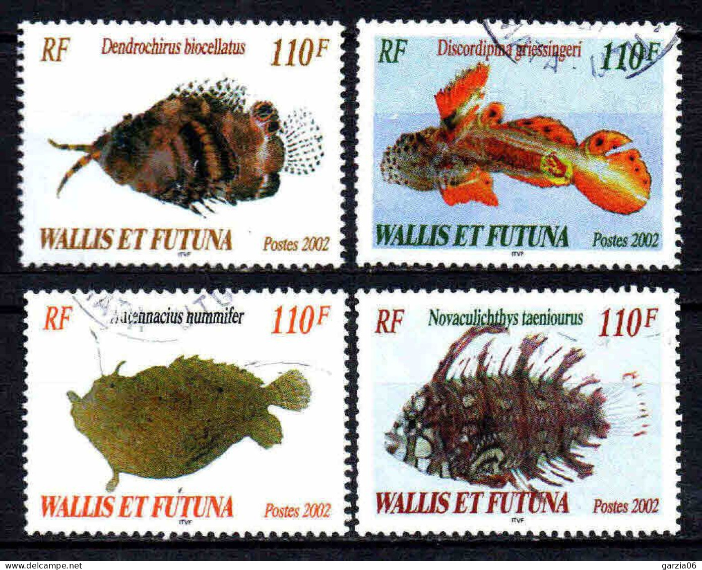 Wallis Et Futuna - 2002  - Poissons Rares - N° 583 à 586  - Oblit - Used - Used Stamps