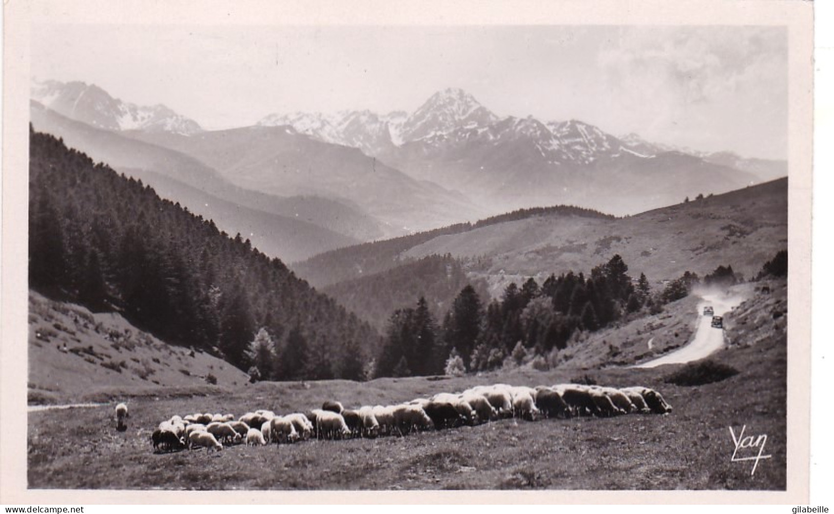 65 - Au Col D'Aspin - Vue Vers Le Pic Du Midi - Moutons Au Paturage - Sonstige & Ohne Zuordnung