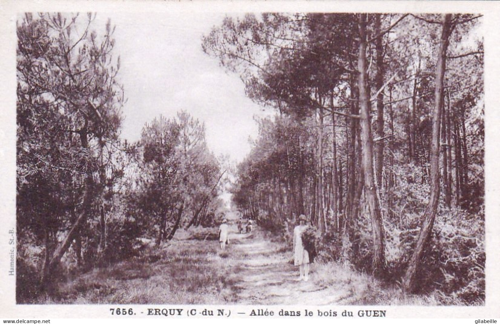 22 -  ERQUY - Allée Dans Le Bois Du Guen - Erquy