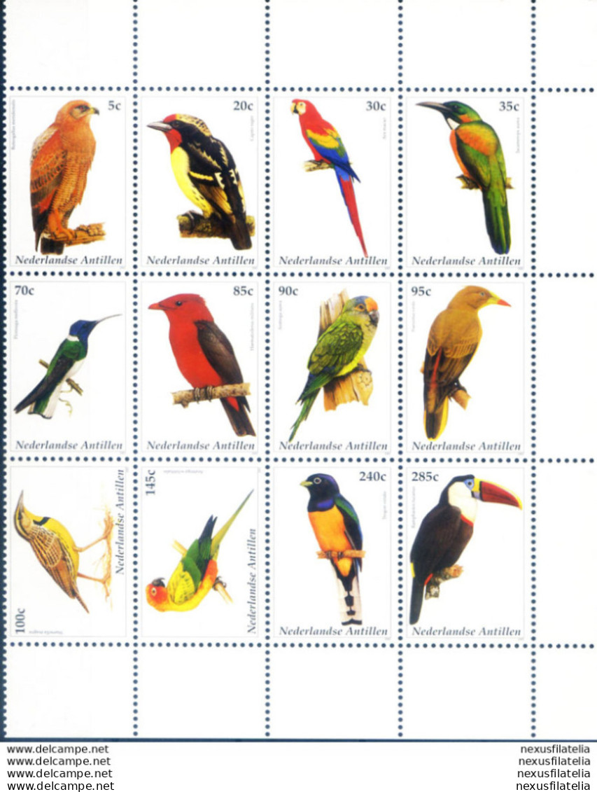 Fauna. Uccelli 2002. - Curacao, Netherlands Antilles, Aruba