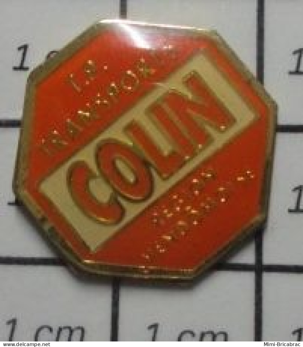 3517  Pin's Pins / Beau Et Rare / TRANSPORTS / TP TRANSPORTS COLIN REGION VENDOMOISE - Transport