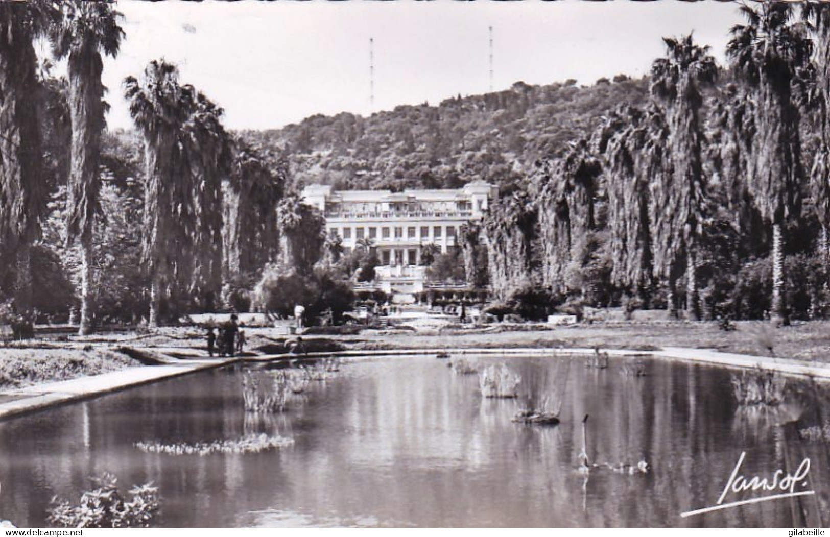 Algerie - ALGER - Jardin D'essai Et Musée National - 1957 - Alger