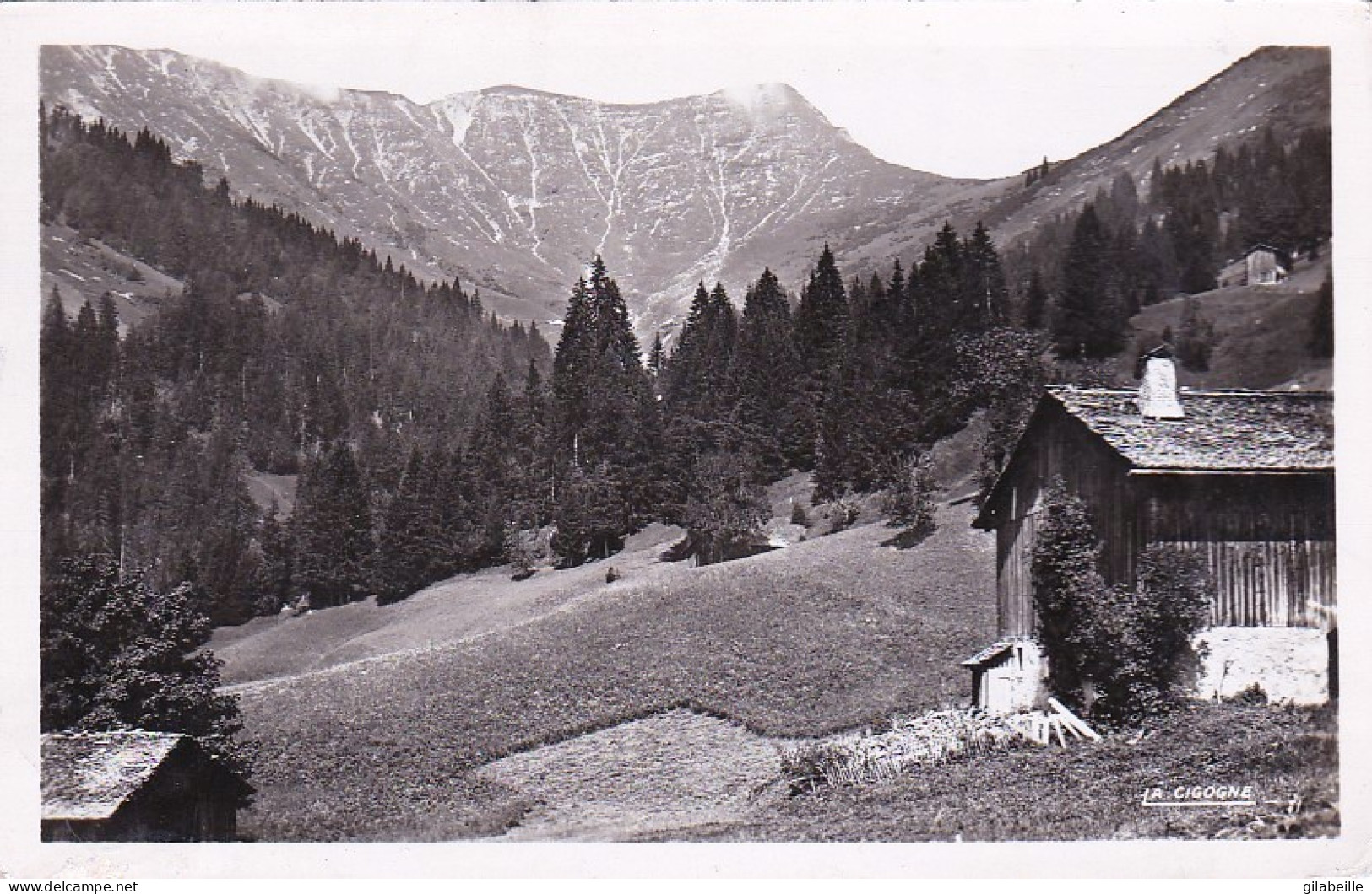 74 - SAMOENS - Nant Golon - Samoëns