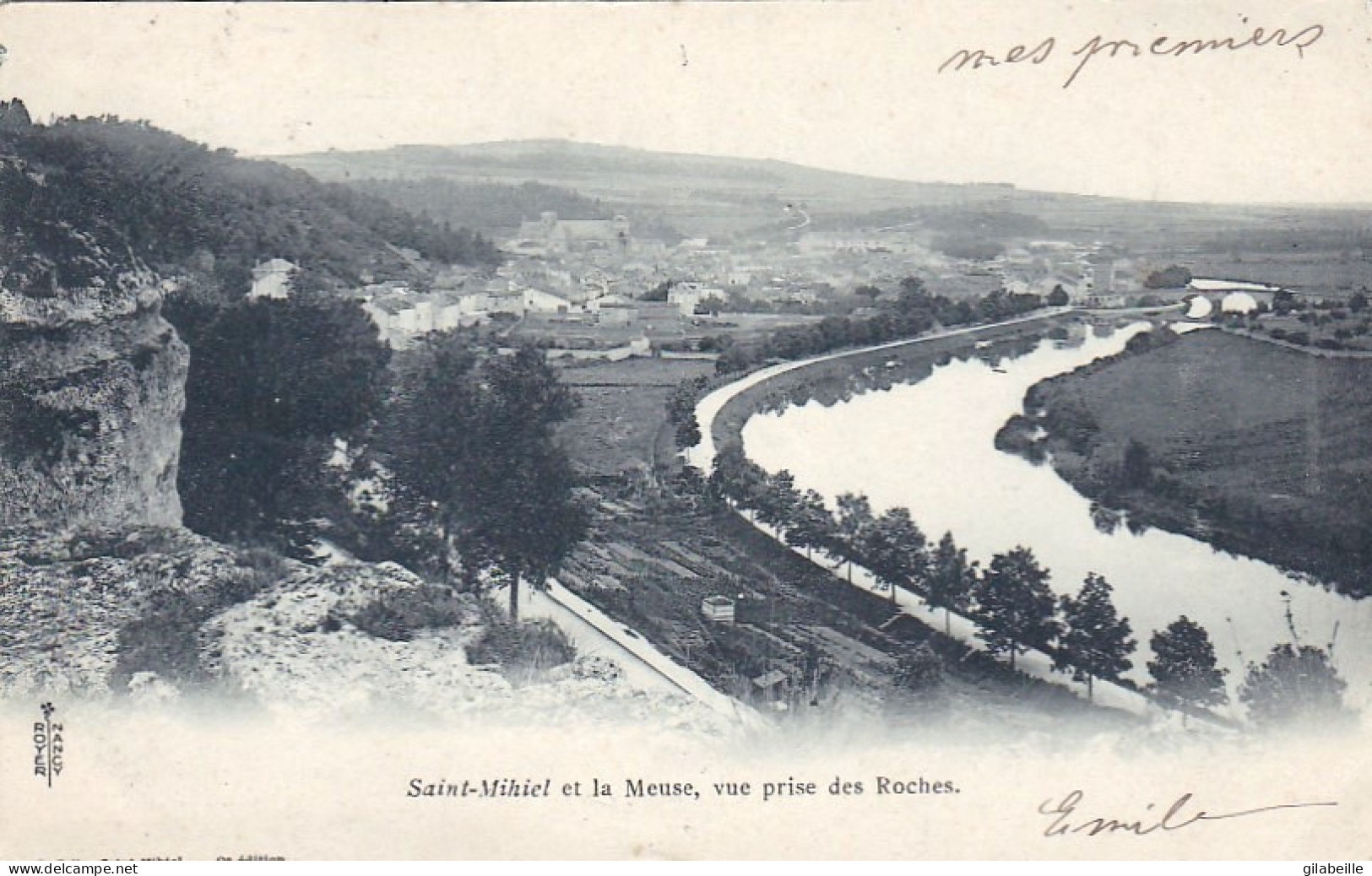 55 -  SAINT MIHIEL Et La Meuse Vue Prise Des Roches - Saint Mihiel