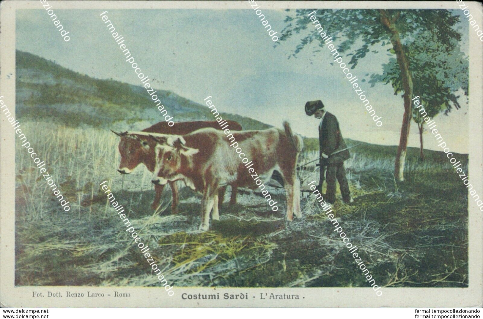 Bq309 Cartolina Costumi Sardi L'aratura 1920 - Sassari