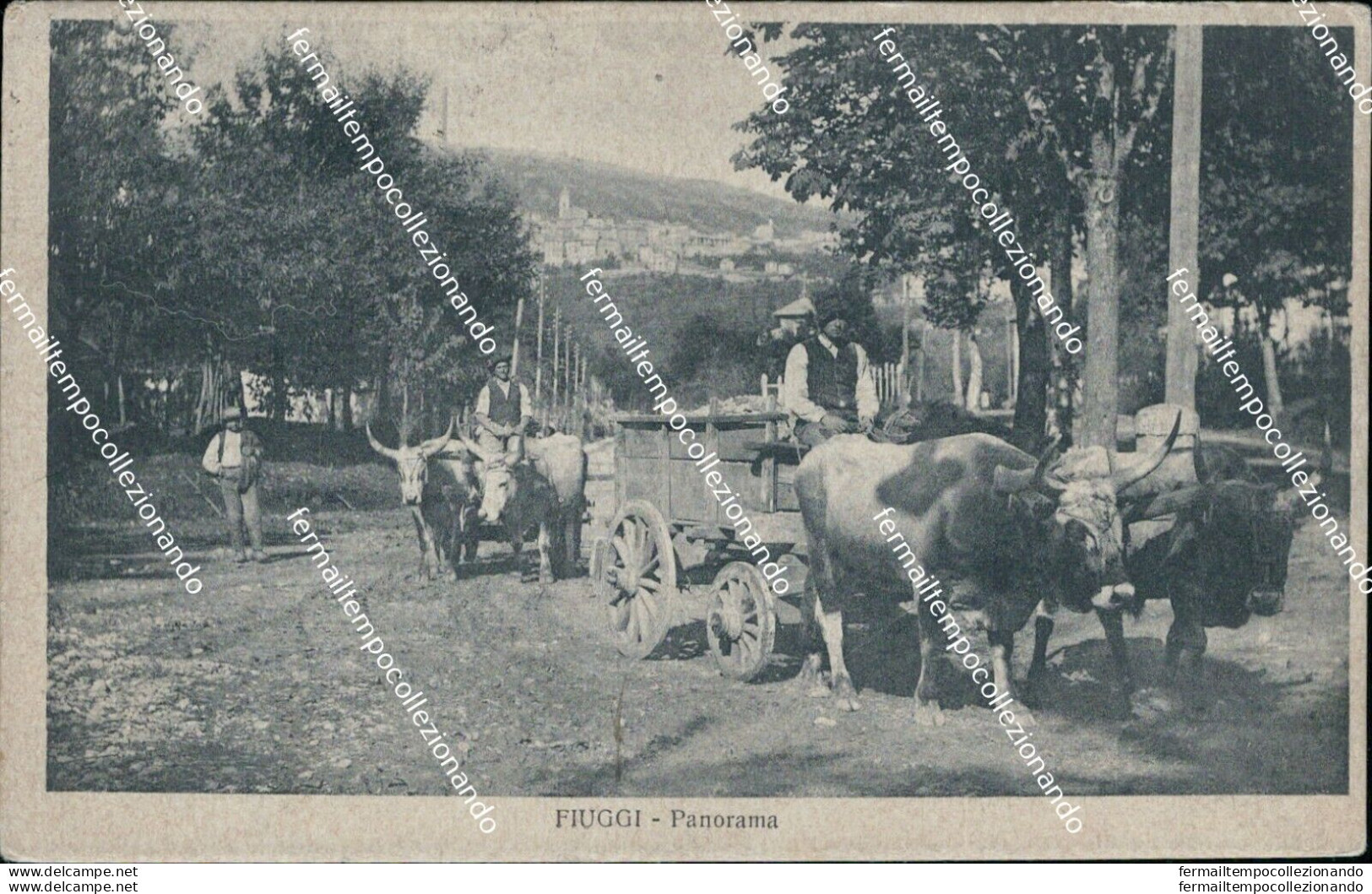 Bq319 Cartolina Fiuggi Panorama Buoi  1917 Provincia Di Frosinone - Frosinone