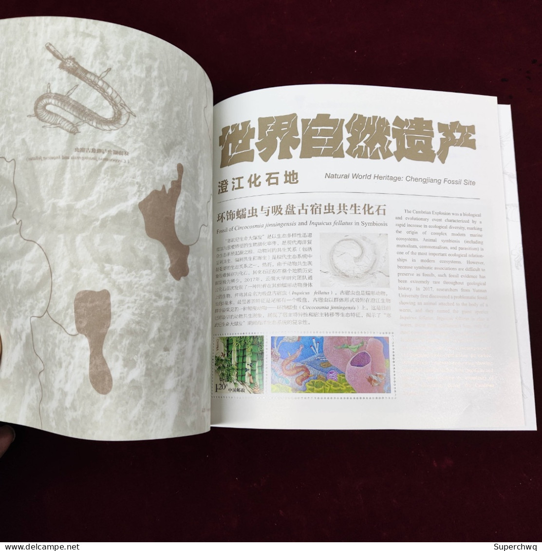 China Stamp GPB-31 2024-4 "World Natural Heritage - Chengjiang Fossil Land" Personalized Ticket Book - Nuevos