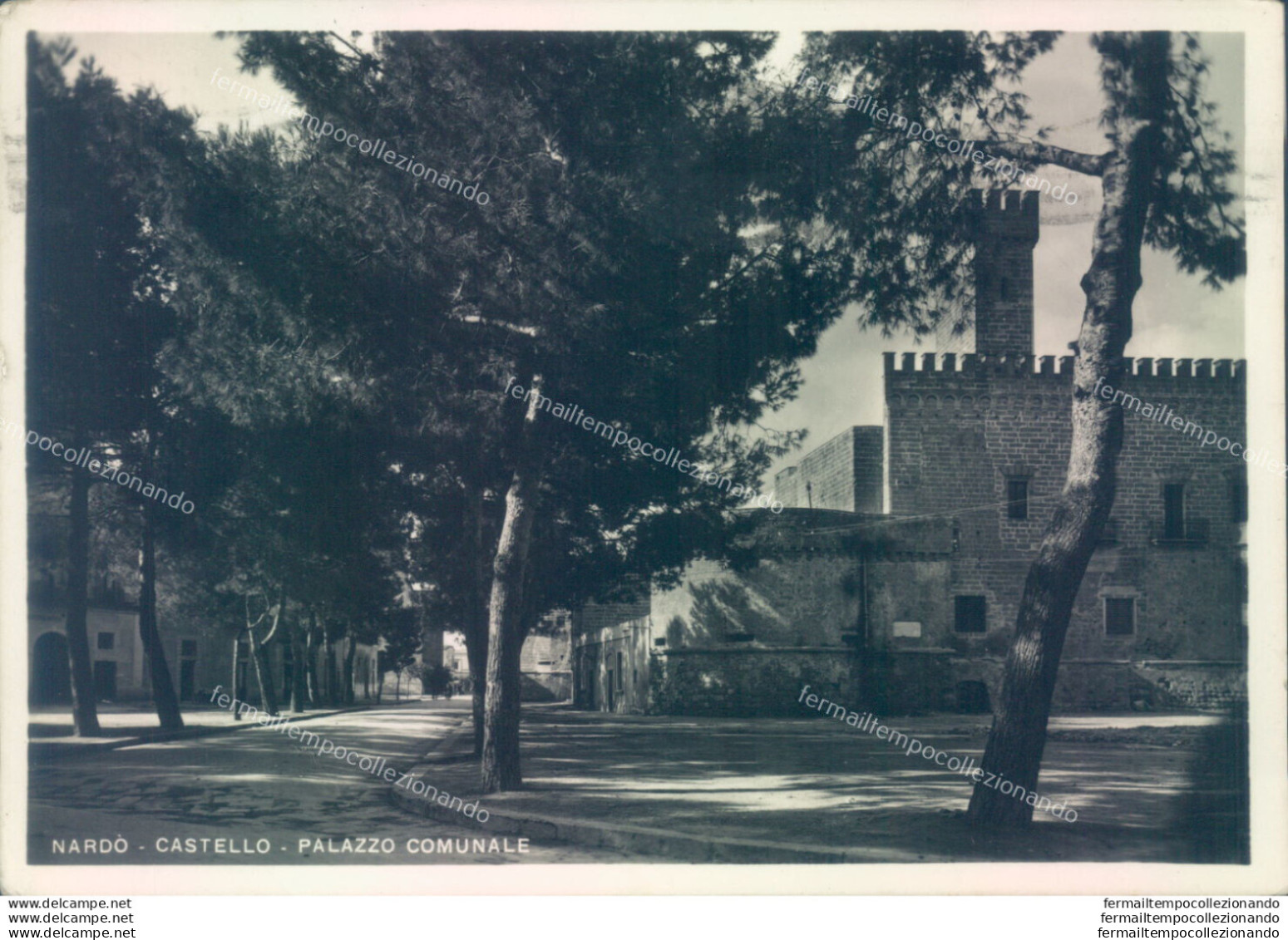 Z42 Cartolina Nardo Castello Palazzo Comunale Provincia Di Lecce - Lecce