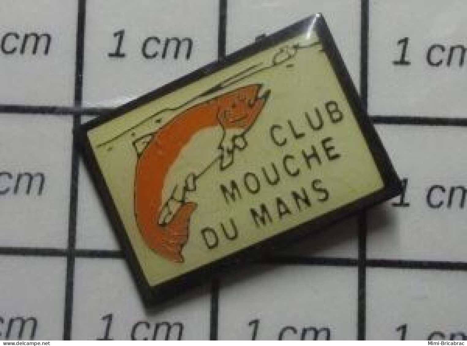 3517 Pin's Pins / Beau Et Rare / ANIMAUX / POISSON TRUITE CLUB MOUCHE DU MANS PECHE - Dieren