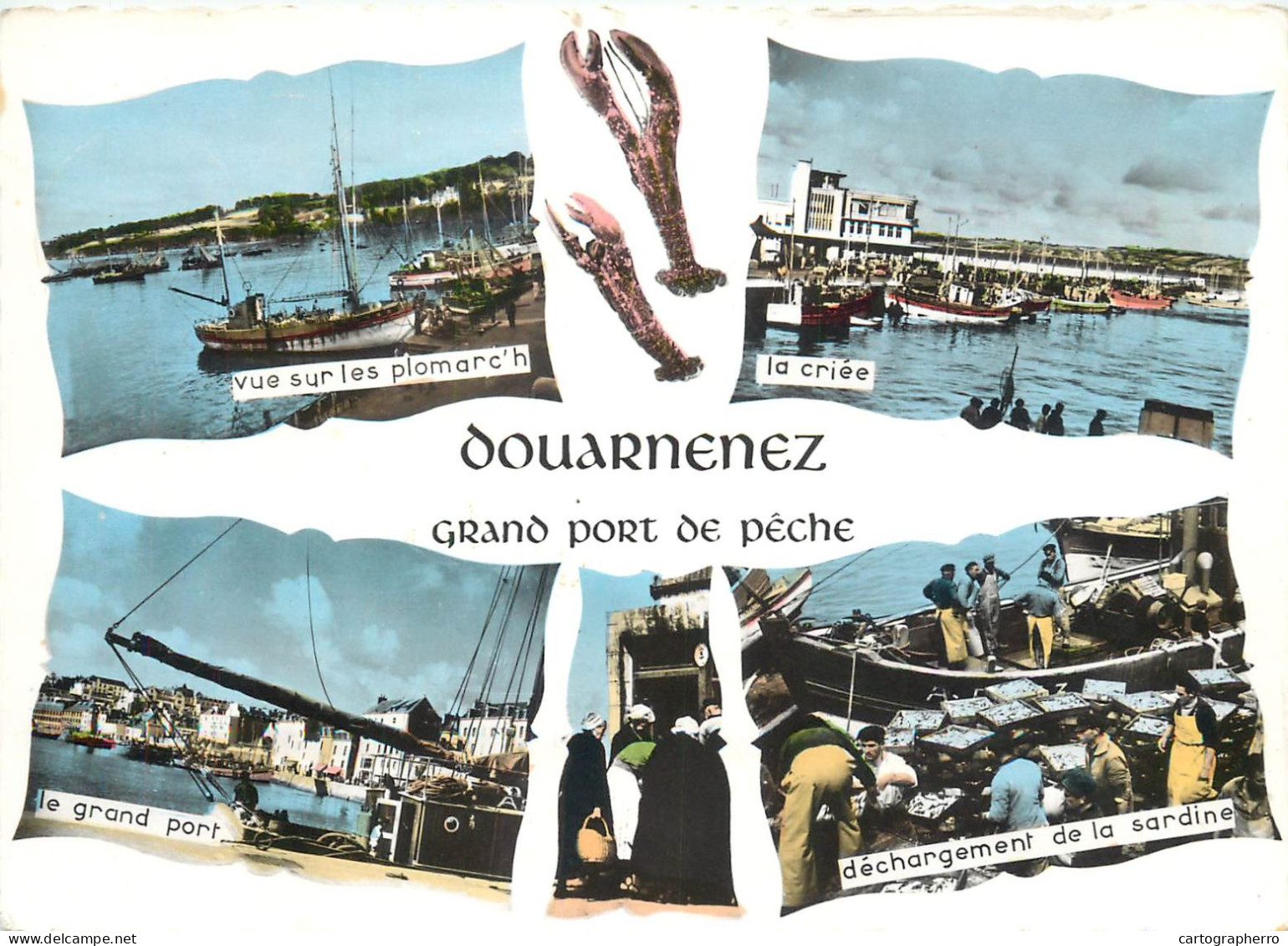 Navigation Sailing Vessels & Boats Themed Postcard Douarnenez Fishing Harbour - Sailing Vessels