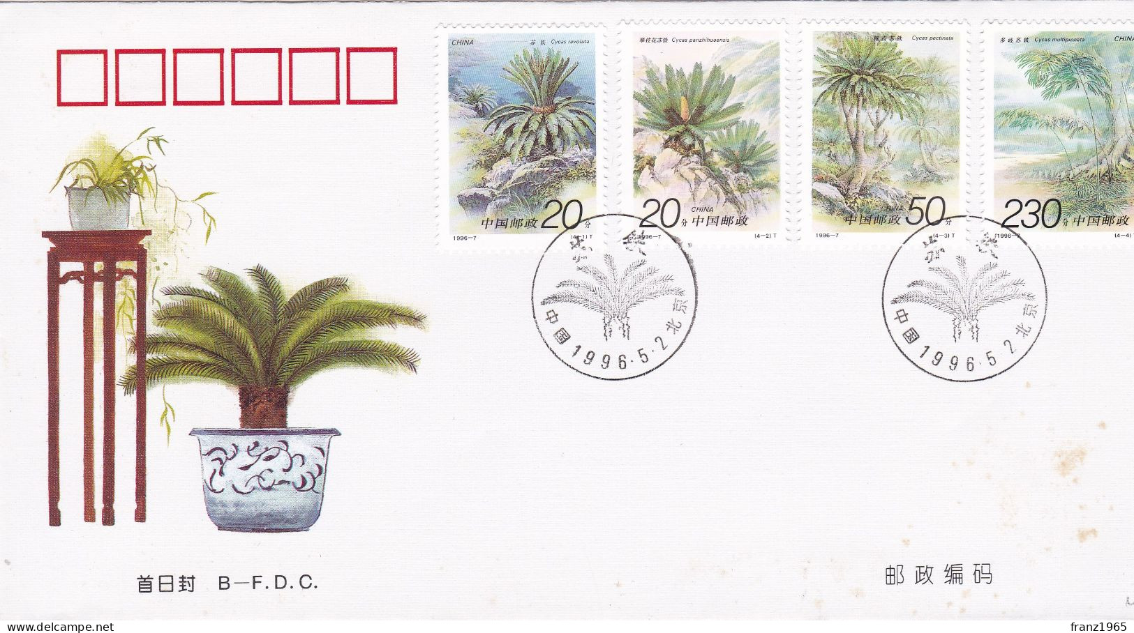 Cycas - 1996 - 1990-1999