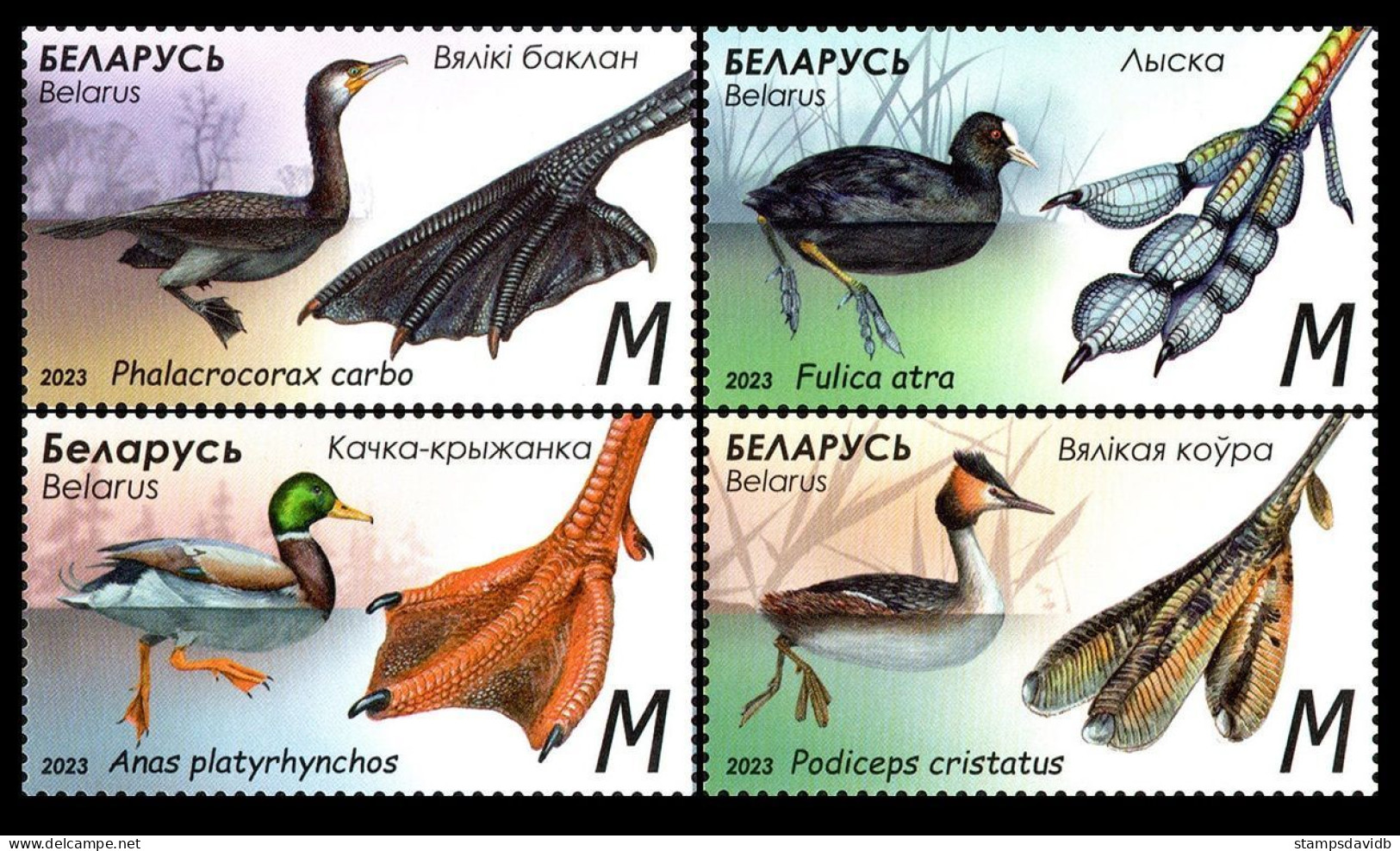 2023 Belarus 1489-1492	Birds - Features Of Waterfowl 12,60 € - Entenvögel