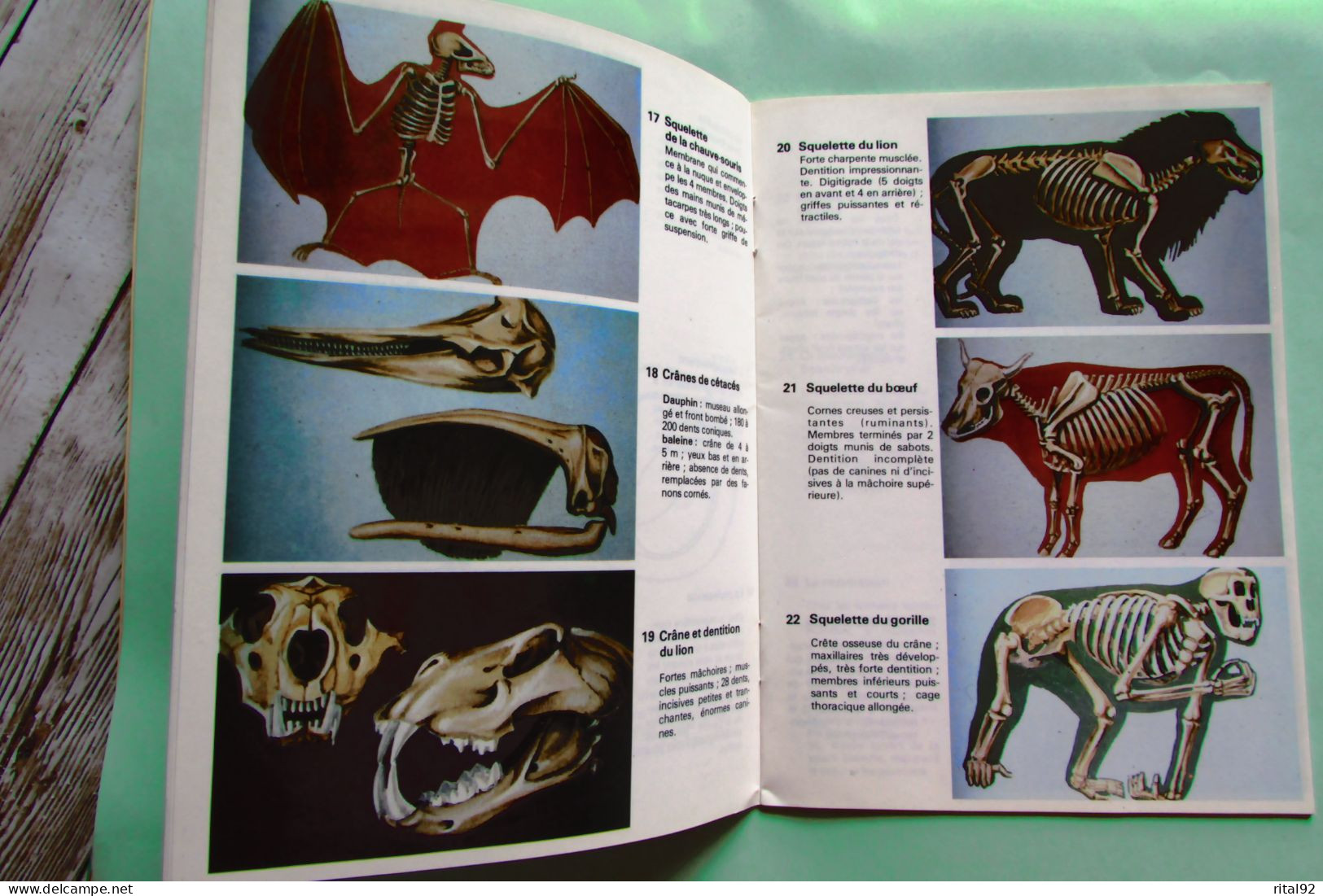 VOLUMETRIX - Livret Educatif Images à Découper - Edition 1979 - Schede Didattiche