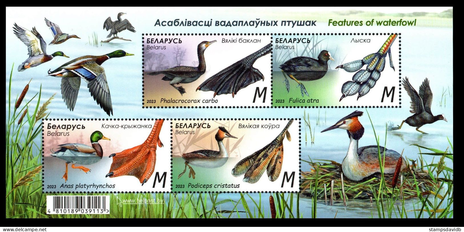 2023 Belarus 1489-1492/B218 Birds - Features Of Waterfowl 12,60 € - Entenvögel