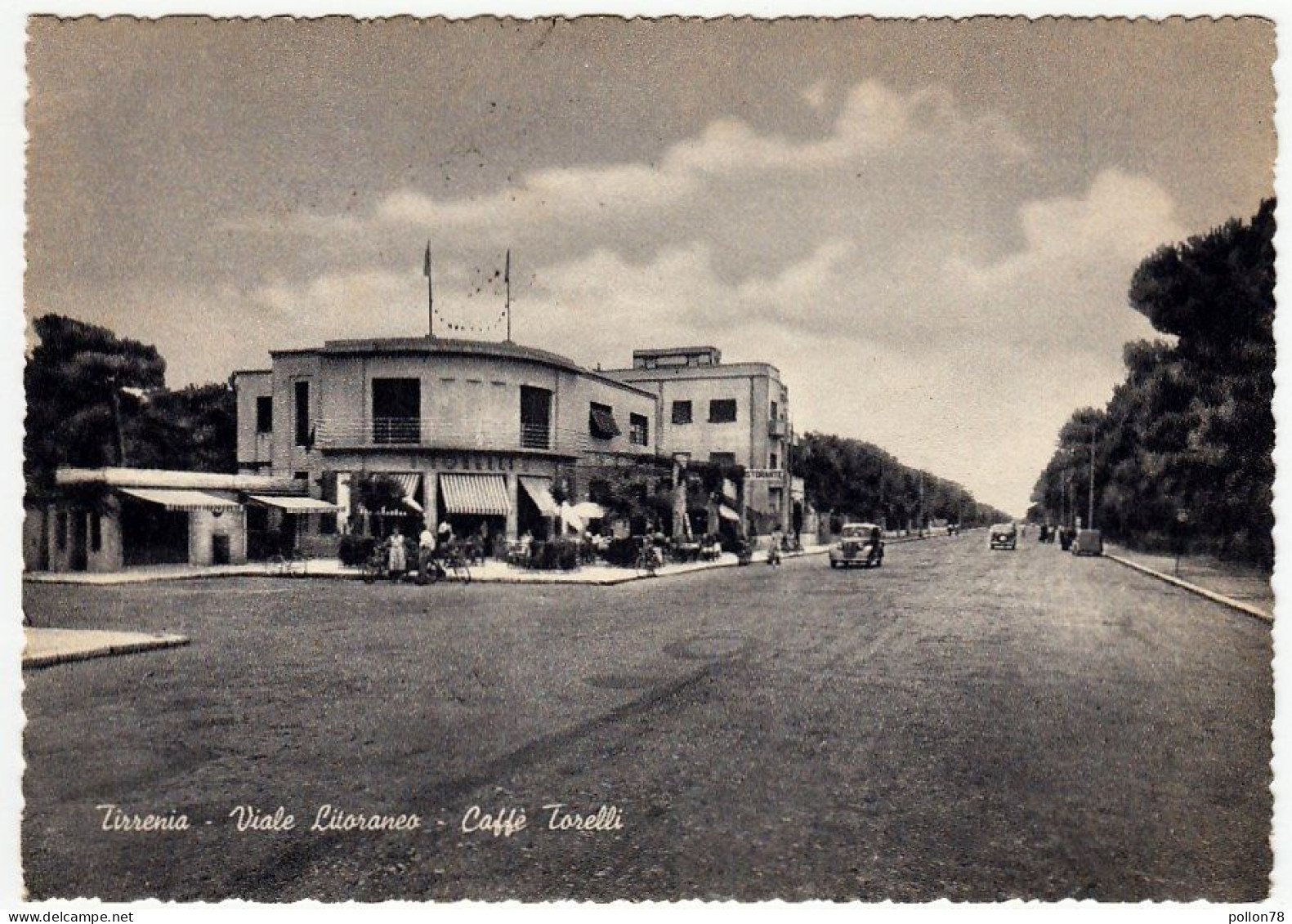 TIRRENIA - VIALE LITORANEO - CAFFE' TORELLI - PISA - 1951 - Vedi Retro - BAR - Pisa