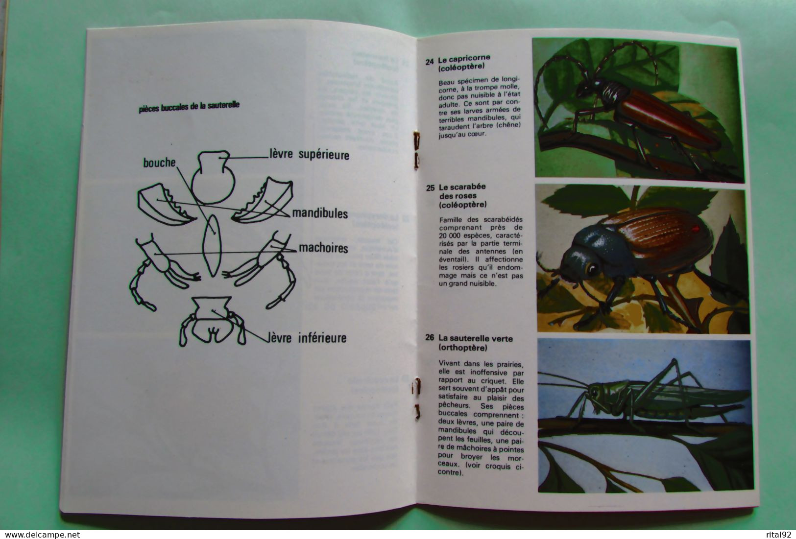 VOLUMETRIX - Livret Educatif Images à Découper - Edition 1979 - Didactische Kaarten