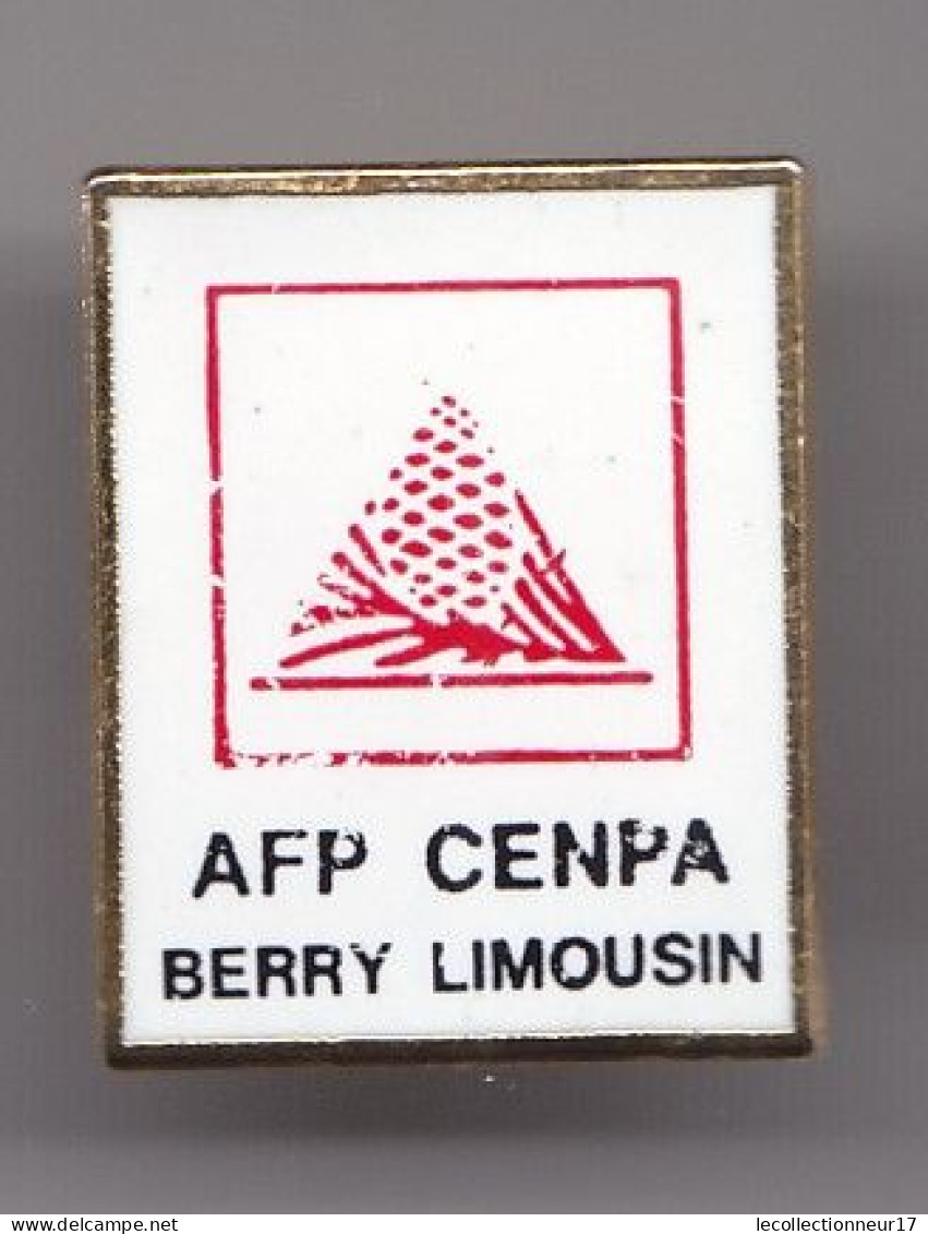 Pin's  AFP CENPA Berry Limousin 7978JL - Villes