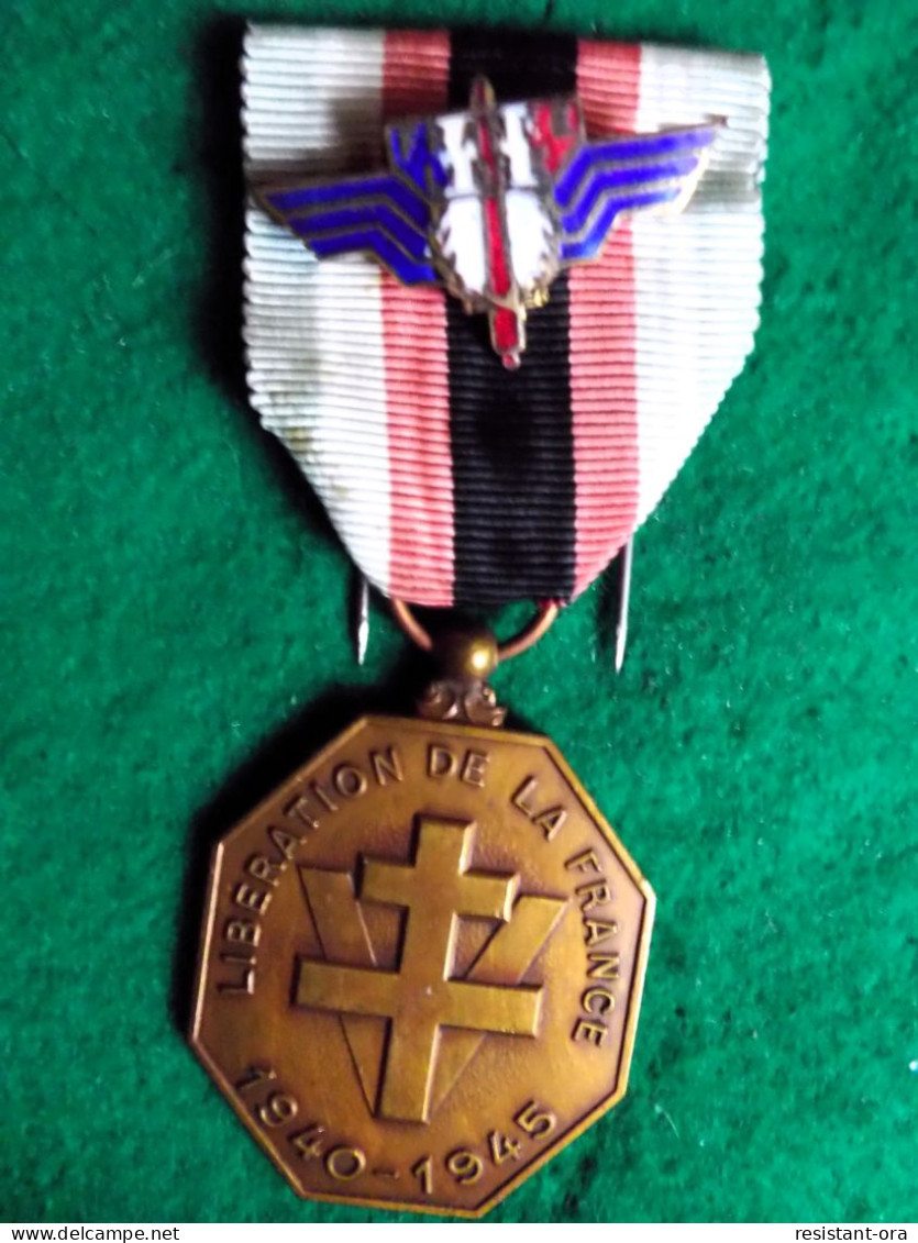 Médaille D'Honneur Des Résistants Combattants Et Sanitaires .moustique - Francia