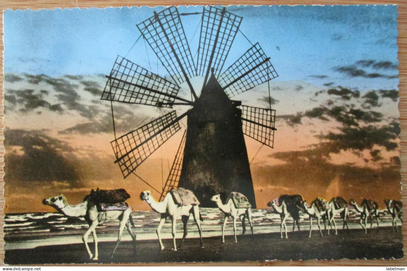 YEMEN ADEN WINDMILL CAMELS CARAVAN CARTE POSTALE PHOTO POSTCARD CARD CP PC AK ANSICHTSKARTE CARTOLINA POSTKARTE - Yemen