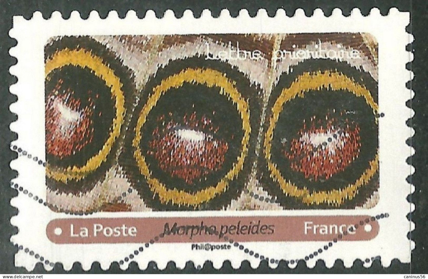 2020 Yt AA 1812 (o) Effets Papillons Morpho Peleides - Used Stamps