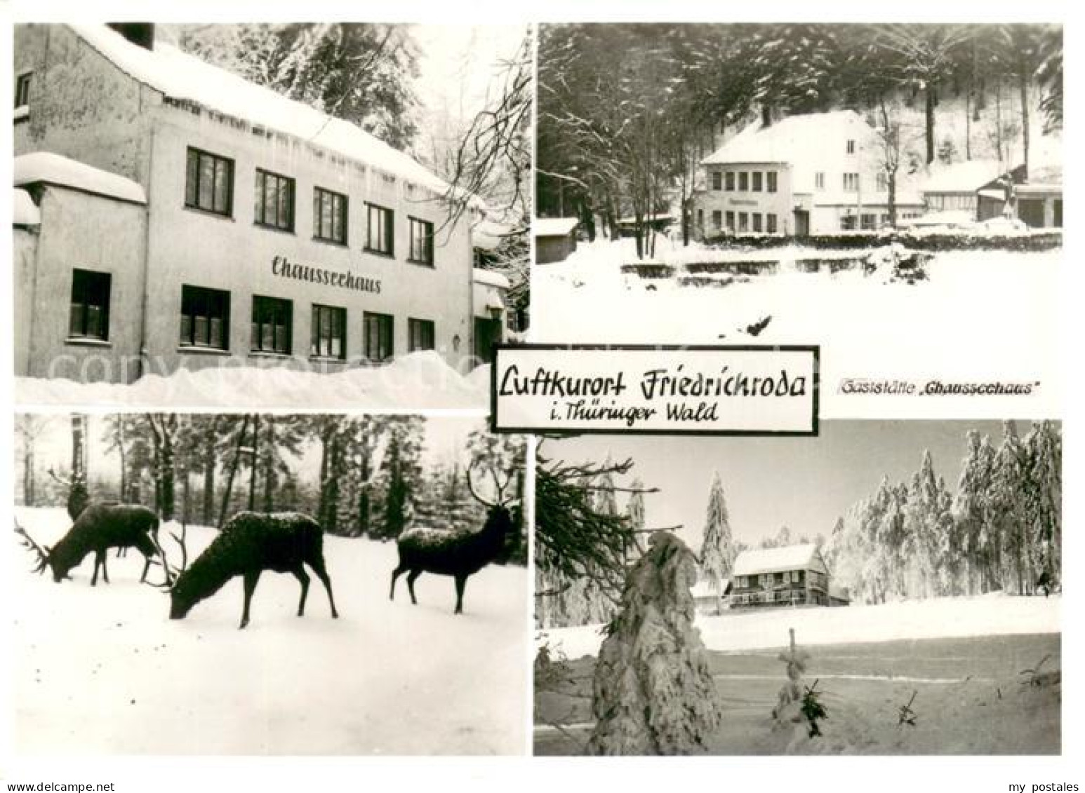 73654176 Friedrichroda Gaststaette Chausseehaus Winterlandschaft Hirsche Friedri - Friedrichroda